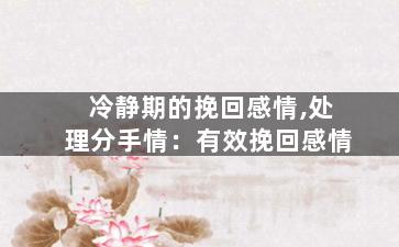 冷静期的挽回感情,处理分手情：有效挽回感情