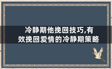 冷静期他挽回技巧,有效挽回爱情的冷静期策略