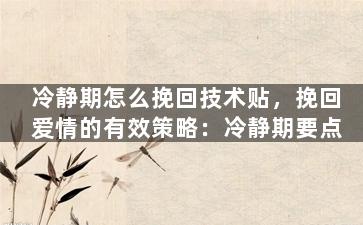 冷静期怎么挽回技术贴，挽回爱情的有效策略：冷静期要点