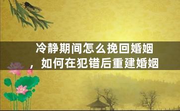 冷静期间怎么挽回婚姻，如何在犯错后重建婚姻