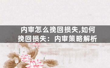 内审怎么挽回损失,如何挽回损失：内审策略解析