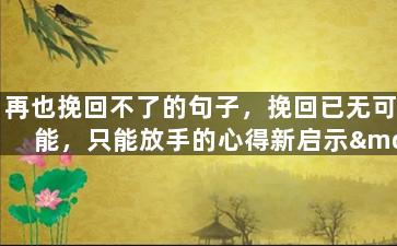 再也挽回不了的句子，挽回已无可能，只能放手的心得新启示——新标题