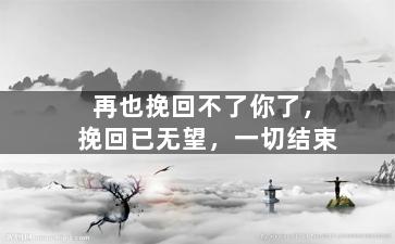 再也挽回不了你了，挽回已无望，一切结束