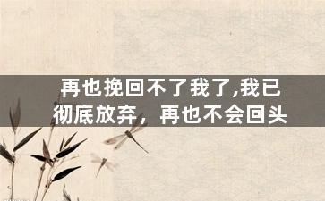 再也挽回不了我了,我已彻底放弃，再也不会回头
