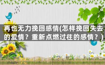 再也无力挽回感情(怎样挽回失去的爱情？重新点燃过往的感情？)