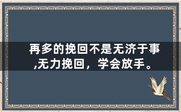 再多的挽回不是无济于事,无力挽回，学会放手。