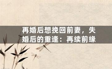 再婚后想挽回前妻，失婚后的重逢：再续前缘
