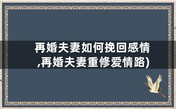 再婚夫妻如何挽回感情,再婚夫妻重修爱情路)