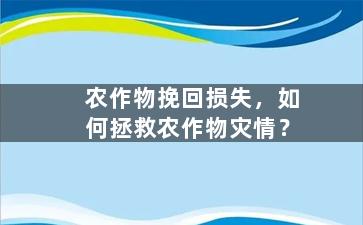 农作物挽回损失，如何拯救农作物灾情？