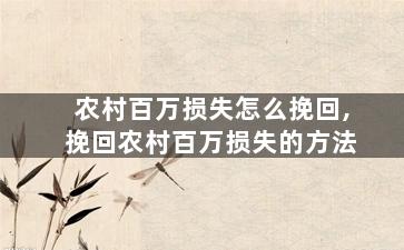 农村百万损失怎么挽回,挽回农村百万损失的方法
