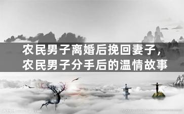 农民男子离婚后挽回妻子，农民男子分手后的温情故事