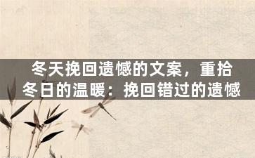 冬天挽回遗憾的文案，重拾冬日的温暖：挽回错过的遗憾