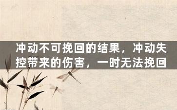 冲动不可挽回的结果，冲动失控带来的伤害，一时无法挽回