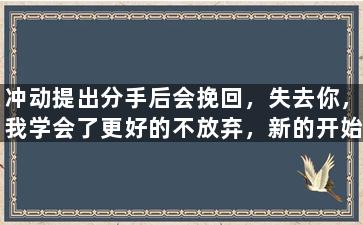 冲动提出分手后会挽回，失去你，我学会了更好的不放弃，新的开始将重新启程。