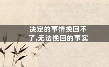 决定的事情挽回不了,无法挽回的事实