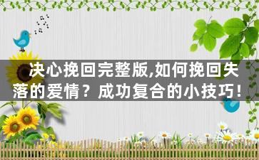 决心挽回完整版,如何挽回失落的爱情？成功复合的小技巧！