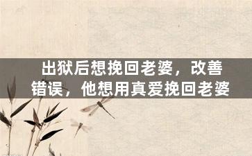出狱后想挽回老婆，改善错误，他想用真爱挽回老婆