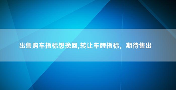 出售购车指标想挽回,转让车牌指标，期待售出