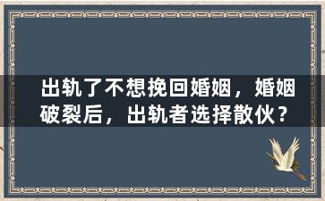 出轨了不想挽回婚姻，婚姻破裂后，出轨者选择散伙？