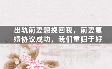出轨前妻想挽回我，前妻复婚协议成功，我们重归于好