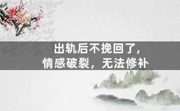 出轨后不挽回了,情感破裂，无法修补