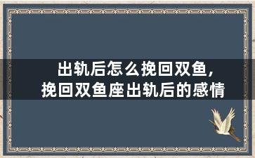 出轨后怎么挽回双鱼,挽回双鱼座出轨后的感情