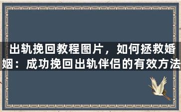 出轨挽回教程图片，如何拯救婚姻：成功挽回出轨伴侣的有效方法