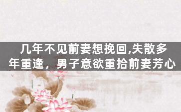几年不见前妻想挽回,失散多年重逢，男子意欲重拾前妻芳心