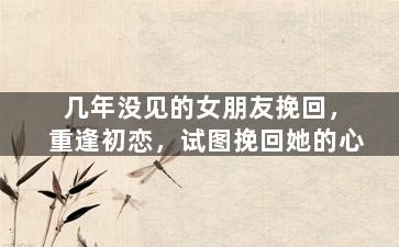 几年没见的女朋友挽回，重逢初恋，试图挽回她的心