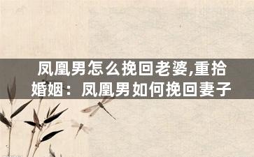凤凰男怎么挽回老婆,重拾婚姻：凤凰男如何挽回妻子