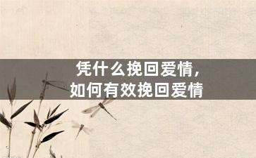 凭什么挽回爱情,如何有效挽回爱情