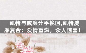 凯特与威廉分手挽回,凯特威廉复合：爱情重燃，众人惊喜！