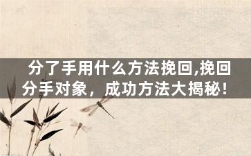 分了手用什么方法挽回,挽回分手对象，成功方法大揭秘！