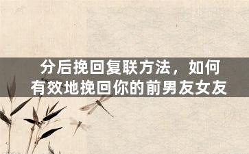 分后挽回复联方法，如何有效地挽回你的前男友女友