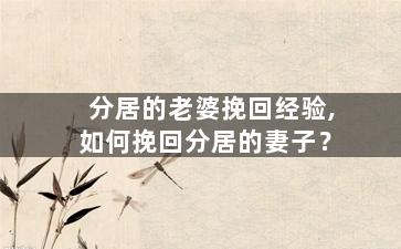 分居的老婆挽回经验,如何挽回分居的妻子？