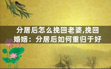 分居后怎么挽回老婆,挽回婚姻：分居后如何重归于好