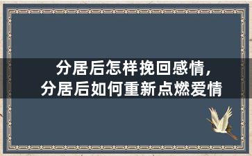 分居后怎样挽回感情,分居后如何重新点燃爱情