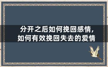 分开之后如何挽回感情,如何有效挽回失去的爱情