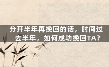 分开半年再挽回的话，时间过去半年，如何成功挽回TA？