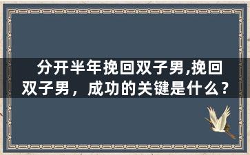 分开半年挽回双子男,挽回双子男，成功的关键是什么？