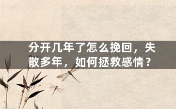 分开几年了怎么挽回，失散多年，如何拯救感情？