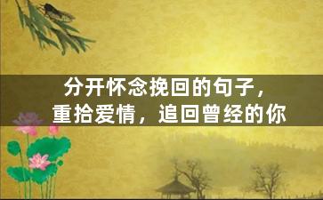 分开怀念挽回的句子，重拾爱情，追回曾经的你