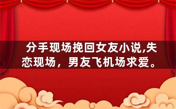 分手现场挽回女友小说,失恋现场，男友飞机场求爱。