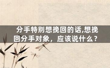 分手特别想挽回的话,想挽回分手对象，应该说什么？
