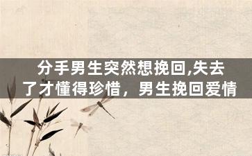 分手男生突然想挽回,失去了才懂得珍惜，男生挽回爱情