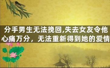 分手男生无法挽回,失去女友令他心痛万分，无法重新得到她的爱情。