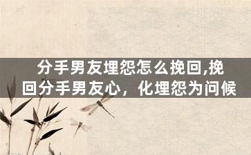 分手男友埋怨怎么挽回,挽回分手男友心，化埋怨为问候