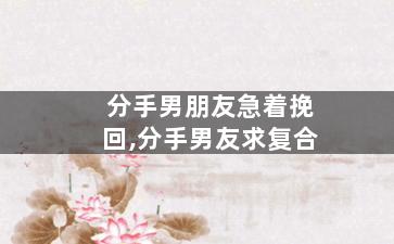 分手男朋友急着挽回,分手男友求复合
