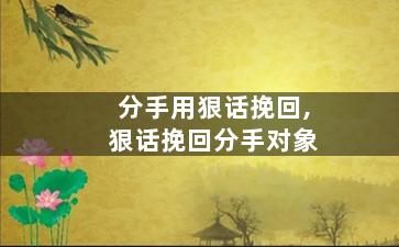 分手用狠话挽回,狠话挽回分手对象