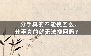 分手真的不能挽回么,分手真的就无法挽回吗？